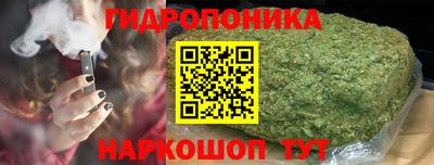 мет Новозыбков